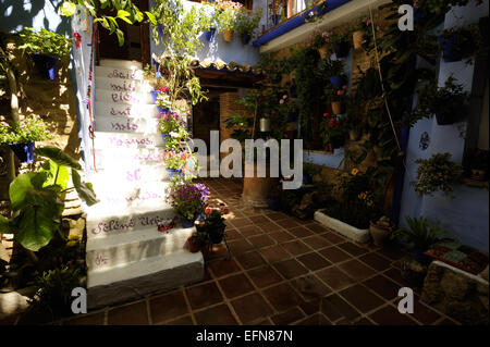 Cour intérieure pendant le Festival des patios (el Festival de Los Patios Cordobeses), Cordoue, Espagne Banque D'Images