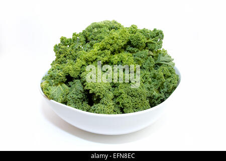 Kale vert sur blanc Banque D'Images