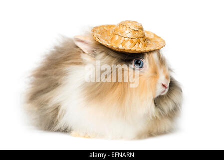 Lapin portant un chapeau de paille in front of white background Banque D'Images