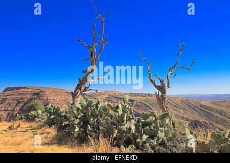 Montagnes, Gheralta, Aptitude DEGUM village région du Tigré, en Ethiopie Banque D'Images