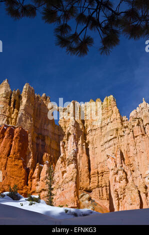 Mur de fenêtres, Bryce Canyon National Park en hiver, Utah, United States. Banque D'Images