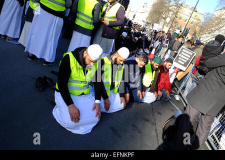 Londres, Royaume-Uni. Le 08 février, 2015. Prières à l'extérieur de Downing Street .Des centaines de Musulmans, essentiellement du nord de l'Angleterre, se sont réunis sur Whitehall pour protester contre l'depections du prophète Mahomet. Une petite quantité de contre-manifestants de la Grande-Bretagne Premier et l'Eco a également assisté à crédit : Rachel Megawhat/Alamy Live News Banque D'Images