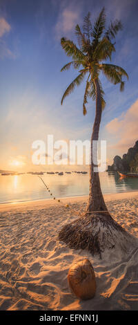 Belle plage avec des palmiers de noix de coco sur le sable blanc avec vue sur l'océan Banque D'Images