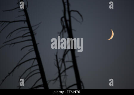 Photographie du presque premier quart de lune, capturée par Neal Herbert en août 2014. Cette phase de la lune est connue pour son aspect semi-éclairé, une phase clé dans le cycle lunaire. Banque D'Images
