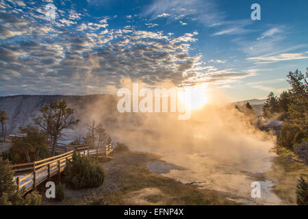 Le lever du soleil jette une lueur dorée sur la terrasse supérieure de Mammoth Hot Springs dans le parc national de Yellowstone. Les formations thermales et les piscines thermales reflètent la lumière précoce, créant un paysage serein et saisissant. Banque D'Images