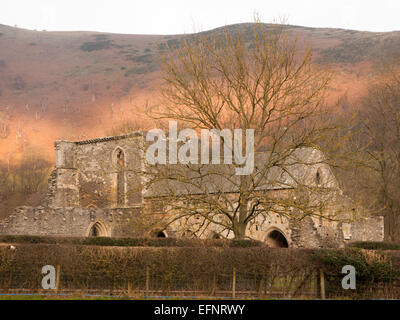 Lumière du soir, Abbaye Valle Crucis, abbaye cistercienne, Llangollen, Denbighshire, Wales, Royaume-Uni Banque D'Images