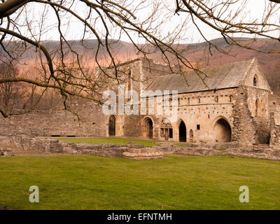 Lumière du soir, Abbaye Valle Crucis, abbaye cistercienne, Llangollen, Denbighshire, Wales, Royaume-Uni Banque D'Images