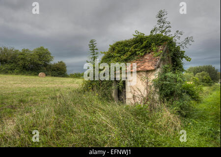 Abandonné dans la zone de la cabine avec une végétation, Indre-et-Loire, France Banque D'Images