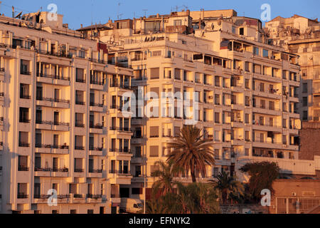 Paysage urbain d'Albert I hotel, Alger, Alger, Algérie Province Banque D'Images