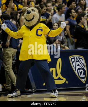 Berkeley CA. 07Th Feb 2015. Californie Macot Oski lors de match de basket-ball NCAA UCLA Bruins entre et la Californie Golden Bears 64-62 gagner à Berkeley en Californie Pavillon Hass © csm/Alamy Live News Banque D'Images