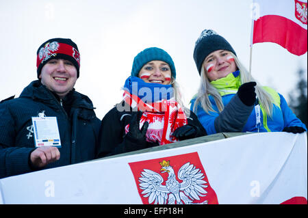 Titisee, Allemagne. 8 Février, 2015. Les partisans polonais au cours de la grande colline compétition individuelle sur la deuxième journée de la Coupe du monde de saut à ski FIS le 8 février 2015 à Titisee, Allemagne. Photo : Miroslav Dakov/Alamy Live News Banque D'Images