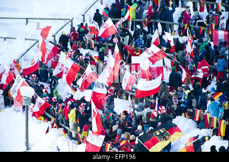 Titisee, Allemagne. 8 Février, 2015. Partisans agitant des drapeaux polonais à la grande colline compétition individuelle sur la deuxième journée de la Coupe du monde de saut à ski FIS le 8 février 2015 à Titisee, Allemagne. Photo : Miroslav Dakov/Alamy Live News Banque D'Images