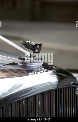 Fait à la main avec le classique Bentley célèbre emblème ailé Mascot Banque D'Images