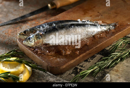 Toujours en vie les poissons sur planche à hacher avec tranche de citron et romarin Banque D'Images