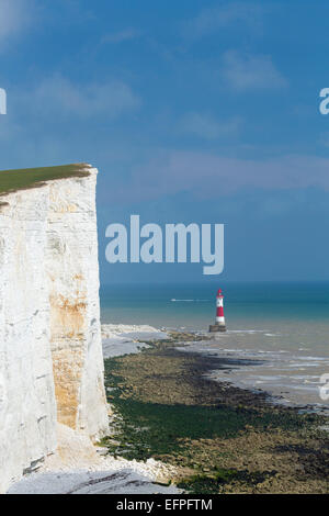 Beachy Head, le Parc National des South Downs, près de Eastbourne, East Sussex, Angleterre, Royaume-Uni, Europe Banque D'Images