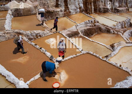 Vue sur Salinas de Maras, la Vallée Sacrée, le Pérou, Amérique du Sud Banque D'Images