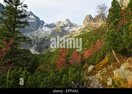 Vysoke Tatry (Hautes Tatras), Slovaquie, Europe Banque D'Images