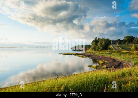 La rive nord de l'Île du Prince Édouard au coucher du soleil, l'Île du Prince Édouard, Canada, Amérique du Nord Banque D'Images