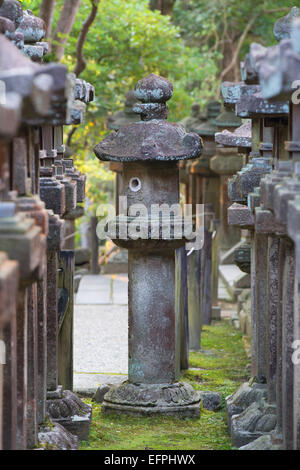 Lanternes en pierre à Kasuga Taisha Temple au crépuscule, UNESCO World Heritage Site, Nara, Japon, Asie, Kansai Banque D'Images