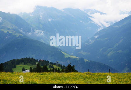 Penkenalm, Ahorn, montagnes Zillertal Tirol Autriche Banque D'Images