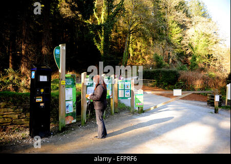 Parking à Cardinham woods très populaire auprès des marcheurs, cyclistes et promeneurs de chiens près de Bodmin, North Cornwall. Banque D'Images