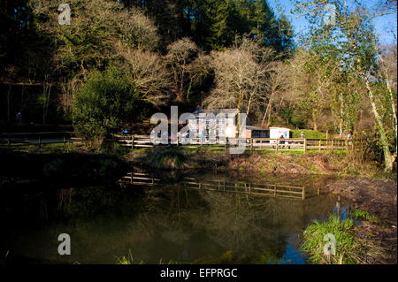 Cardinham woods cafe populaire auprès des marcheurs, cyclistes et promeneurs de chiens près de Bodmin, North Cornwall. Banque D'Images