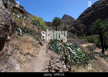 Sentier de randonnée dans le Barranco de Arure, Valle Gran Rey, La Gomera, Canary Islands, Spain Banque D'Images