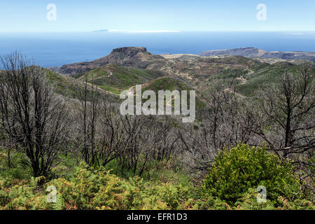 Vue depuis le sommet de Garajonay sur arbustes calcinés, des traces de l'incendie de forêt de 2012, derrière la Fortalezza Banque D'Images