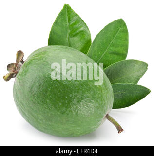 Feijoa avec des feuilles sur un fond blanc. Banque D'Images