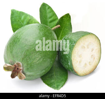 Feijoa avec des feuilles sur un fond blanc. Banque D'Images