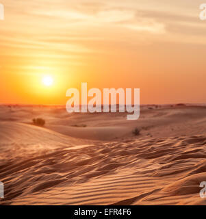 Coucher du soleil dans le désert. Banque D'Images