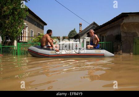 Les gens essaient de sauver leurs biens, d'animaux et animaux domestiques dans la ville inondée de Mizia au nord-est de la capitale bulgare Sofia , Mercredi, août, 06, 2014. De hauts fonctionnaires ont confirmé la mort de deux personnes et les fortes pluies ont laissé des milliers d'habitations et de voitures Banque D'Images