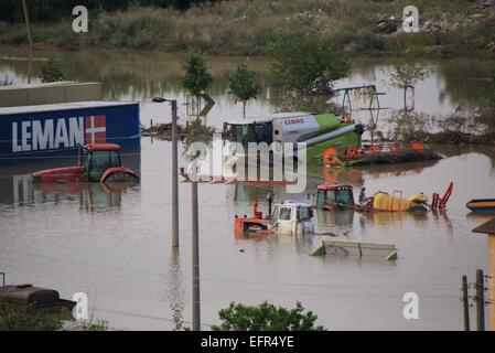 Les gens essaient de sauver leurs biens, d'animaux et animaux domestiques dans la ville inondée de Mizia au nord-est de la capitale bulgare Sofia , Mercredi, août, 06, 2014. De hauts fonctionnaires ont confirmé la mort de deux personnes et les fortes pluies ont laissé des milliers d'habitations et de voitures Banque D'Images