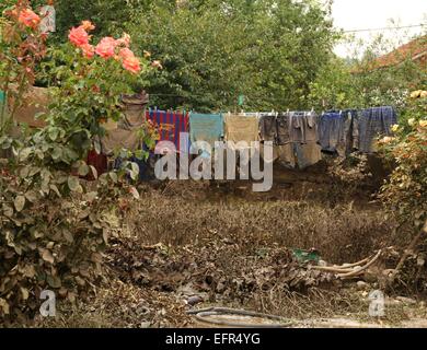 Les gens essaient de sauver leurs biens, d'animaux et animaux domestiques dans la ville inondée de Mizia au nord-est de la capitale bulgare Sofia , Mercredi, août, 06, 2014. De hauts fonctionnaires ont confirmé la mort de deux personnes et les fortes pluies ont laissé des milliers d'habitations et de voitures Banque D'Images