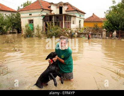 Les gens essaient de sauver leurs biens, d'animaux et animaux domestiques dans la ville inondée de Mizia au nord-est de la capitale bulgare Sofia , Mercredi, août, 06, 2014. De hauts fonctionnaires ont confirmé la mort de deux personnes et les fortes pluies ont laissé des milliers d'habitations et de voitures Banque D'Images