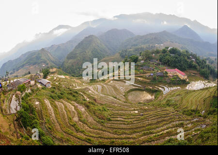 Les champs de riz en terrasses sur des Village Cat Cat SAPA, Vietnam. Banque D'Images