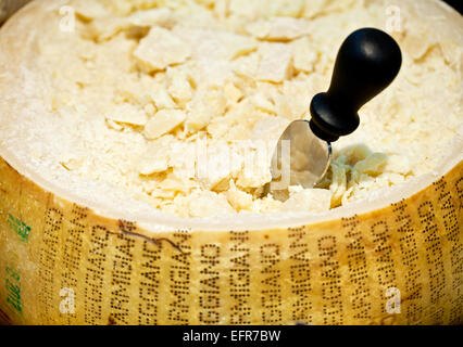 Fromage Parmesan (tête) fermer avec couteau. Banque D'Images