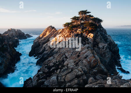 Falaises spectaculaires et le littoral au crépuscule dans la Point Lobos State Reserve sur la côte du Pacifique. L'eau mousse blanche. Banque D'Images