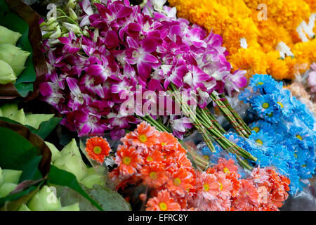 Des fleurs, des tonnes de Lamai Marché aux Fleurs, Chiang Mai, Thaïlande Banque D'Images