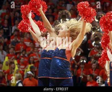 Charlottesville, Virginia, USA. 7 Février, 2015. Virginie cheerleaders effectuer pendant le jeu le samedi 7 février 2015, à Charlottesville, Virginie Virginie battu Louisville 52-47. © Andrew Shurtleff/ZUMA/Alamy Fil Live News Banque D'Images