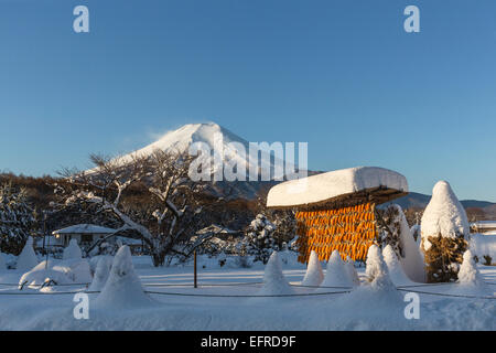 Le Mont Fuji et Snowfield, Yamanashi, Japon Banque D'Images
