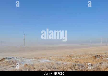 Fans de manzhouli,Mongolie intérieure de la Chine. Banque D'Images