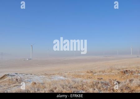 Fans de manzhouli,Mongolie intérieure de la Chine. Banque D'Images