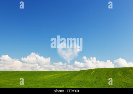 Au-dessus des nuages en forme de coeur d'été vert paysage sur le terrain. L'amour, la Saint-Valentin concepts Banque D'Images