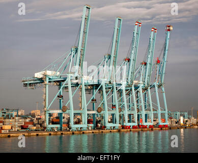 Grandes grues conteneurs APM Terminals à Algeciras port, Province de Cadix, Espagne Banque D'Images