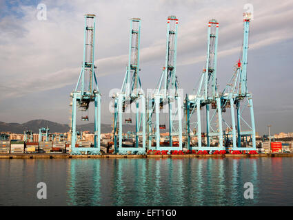 Grandes grues conteneurs APM Terminals à Algeciras port, Province de Cadix, Espagne Banque D'Images