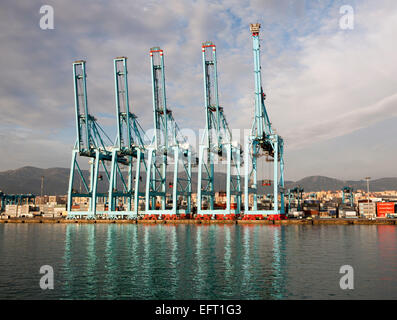 Grandes grues conteneurs APM Terminals à Algeciras port, Province de Cadix, Espagne Banque D'Images