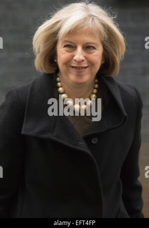 Londres, 10 février 2015. Les ministres arrivent à la réunion hebdomadaire du cabinet au 10 Downing Street. Sur la photo : Ministre de l'intérieur Theresa Mai Crédit : Paul Davey/Alamy Live News Banque D'Images