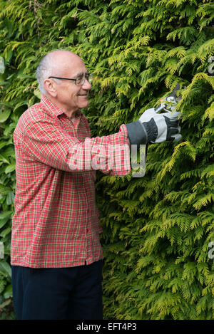 Le port de vêtements de travail de jardinier senior travaillant avec cisaille Banque D'Images