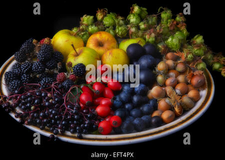 Les fruits et les noix provenant d'une haie à l'automne Banque D'Images